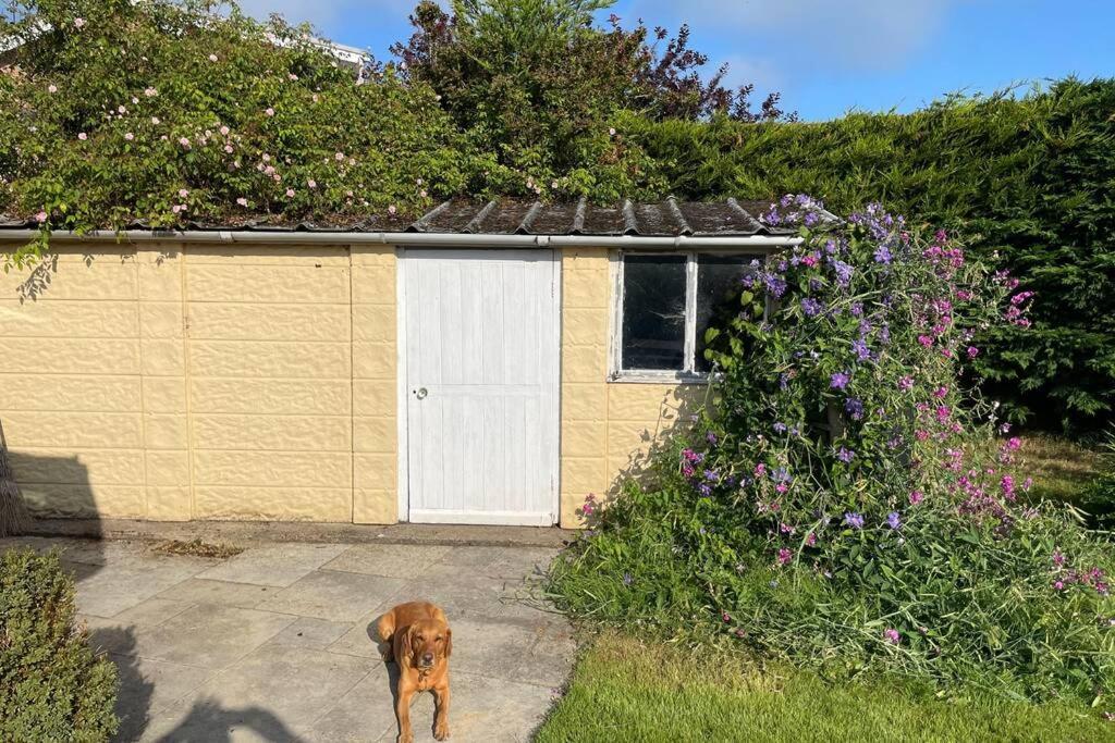 3 Bed Bungalow In Winchcombe, Cotswolds,Gloucester Bagian luar foto